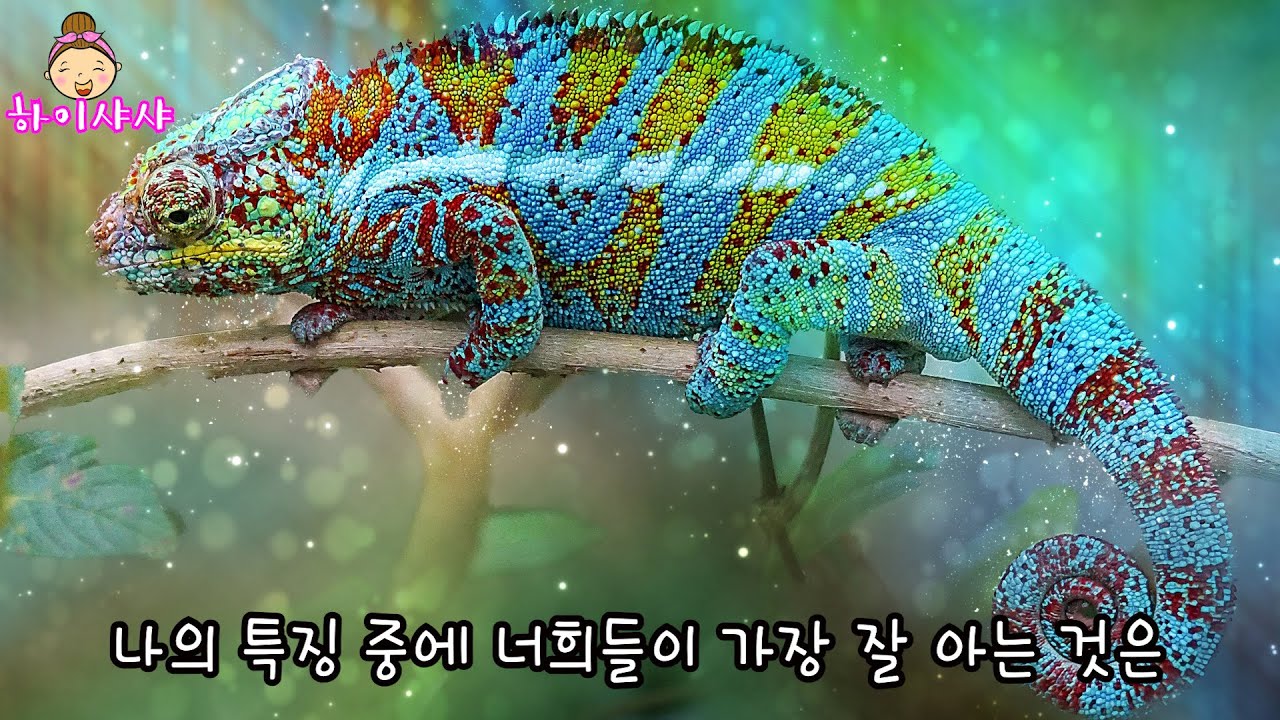 [카멜레온] 자연관찰시리즈ㅣ동물 다큐멘터리ㅣ과학도감ㅣ생생자연도감ㅣ과학동화ㅣ유아자연관찰동화ㅣ자연관찰ㅣ유아자연관찰동화 관찰ㅣ동물도감ㅣ엄마가들려주는자연관찰동화ㅣ프리미엄자연관찰