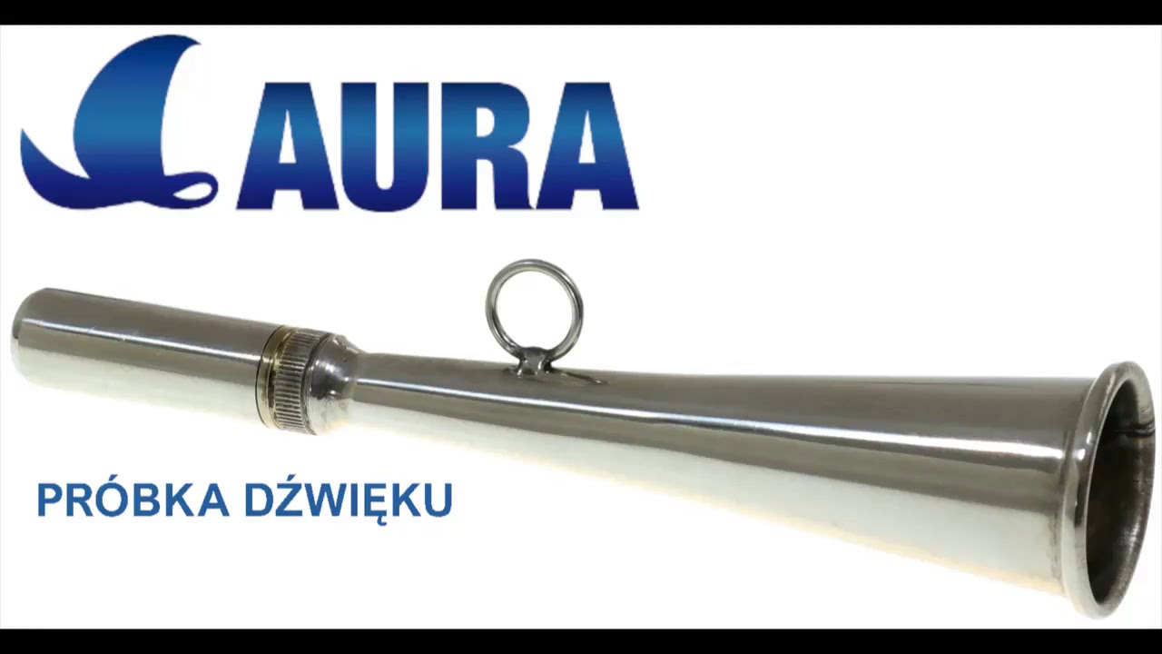 Pr&oacute;bka dźwięku - R&oacute;g mgłowy