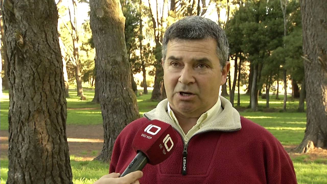 Bosque Peralta Ramos