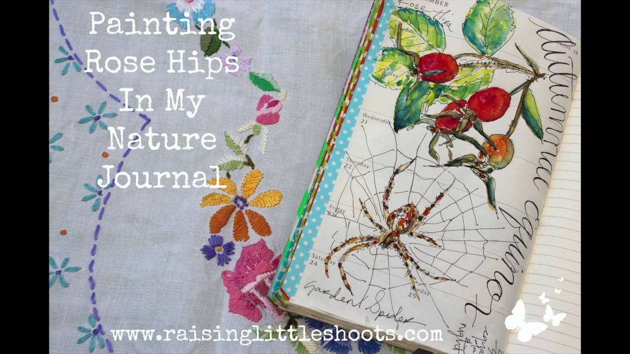 Painting Rosehips in my Nature Journal