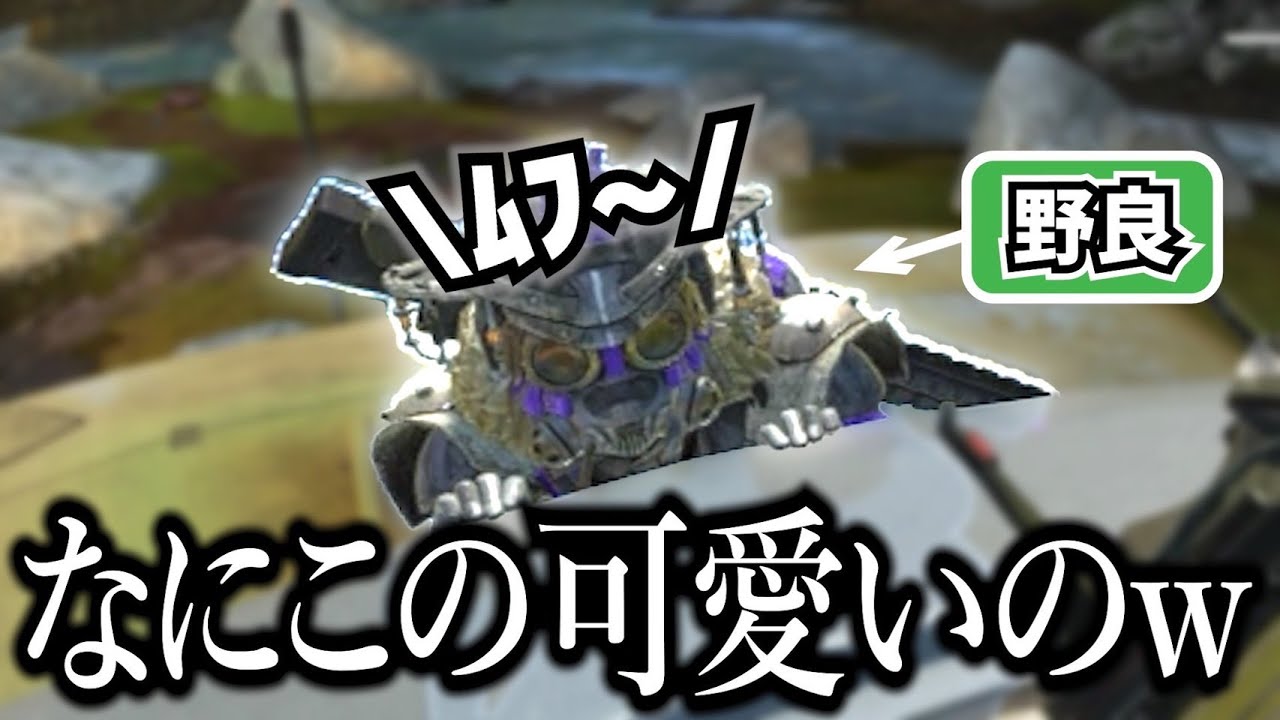 初心者の野良ブラハさんが可愛すぎた...!!【APEX】
