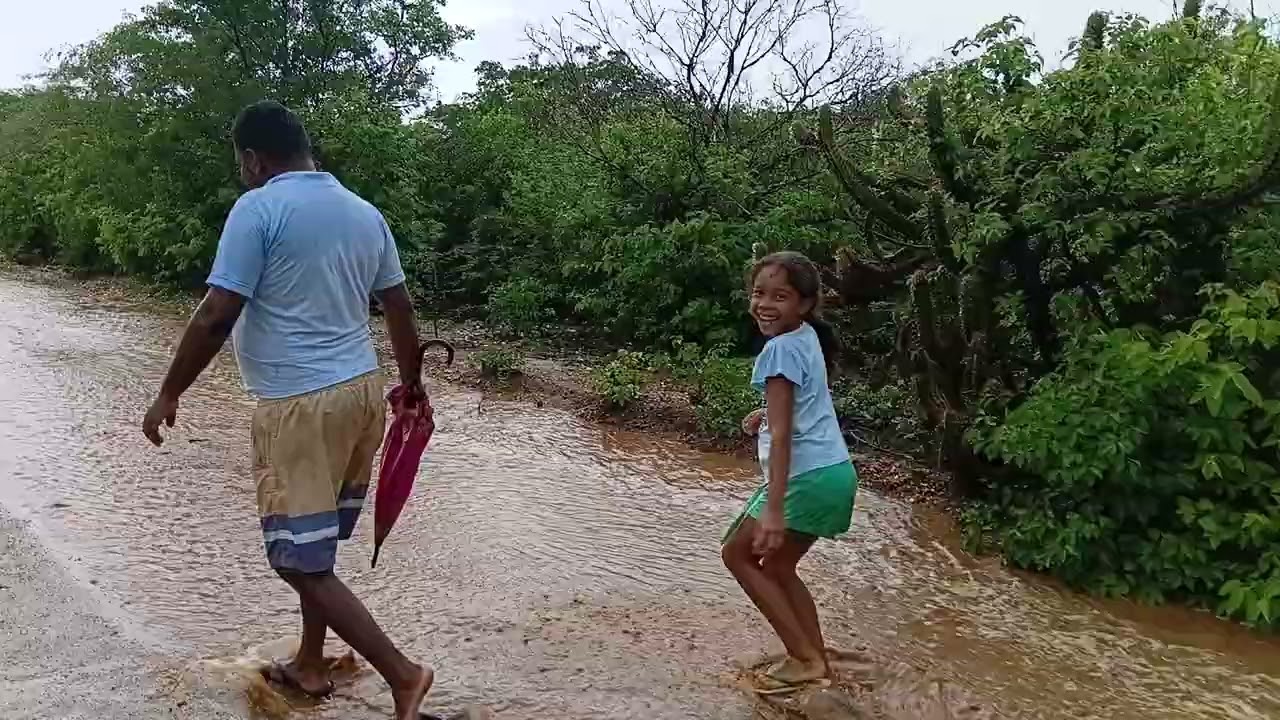 Alegria dos sertanejo 