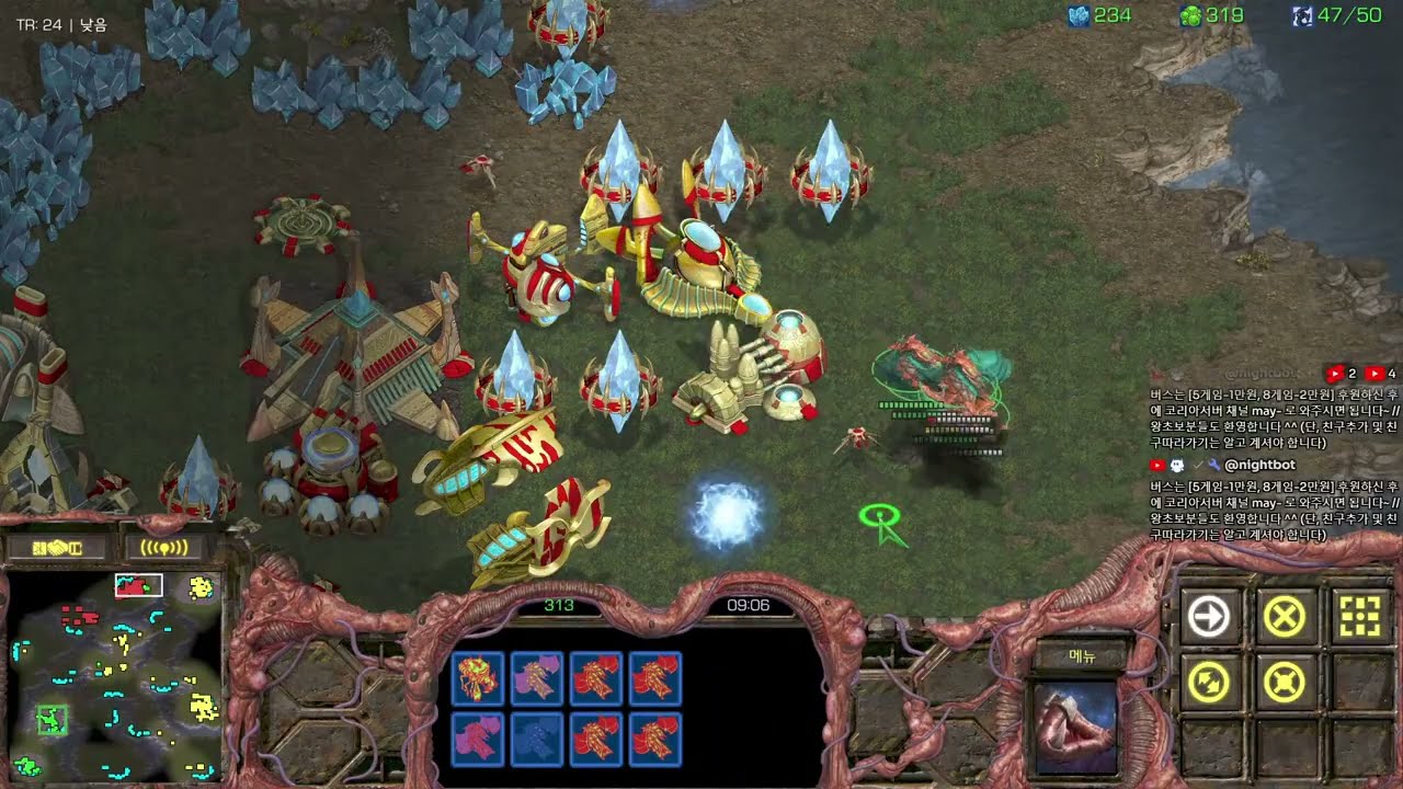 26.1.13(화) 메이 스타팀플 헌터 스타크래프트 Starcraft