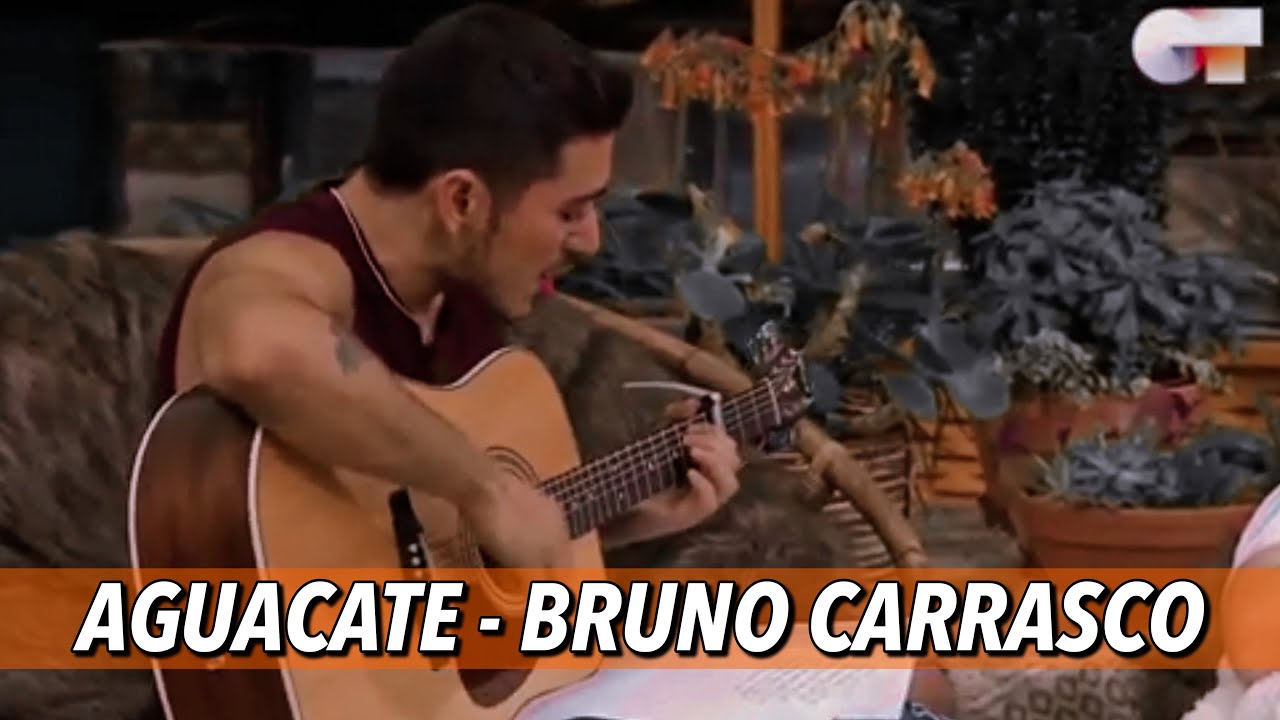 Bruno Carrasco - Aguacate (LETRA)