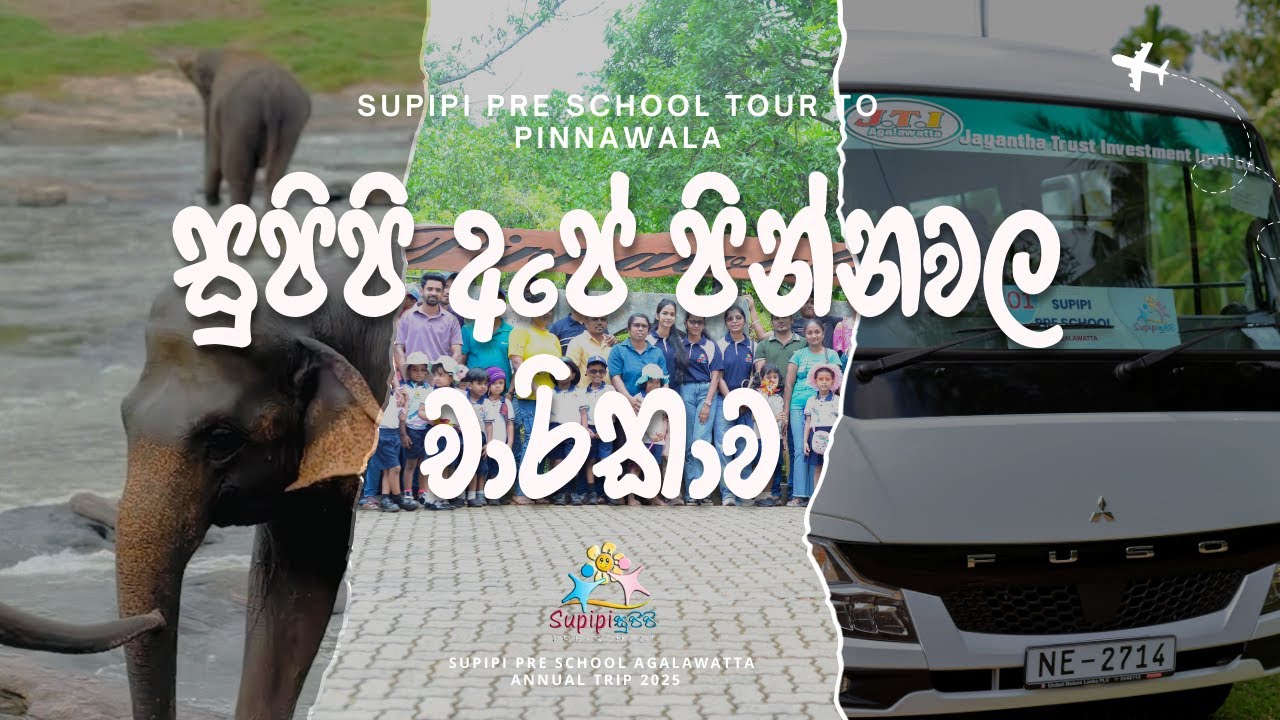 සුපිපි අපේ පින්නවල චාරිකාව - අධ්‍යාපන චාරිකාව 2025 🐘💫  Supipi Pre School Tour to Pinnawala -2025