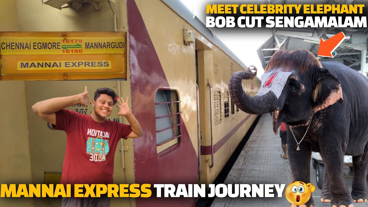 Mannai express train journey and Meeting celebrity elephant bob cut sengamalam in Mannargudi