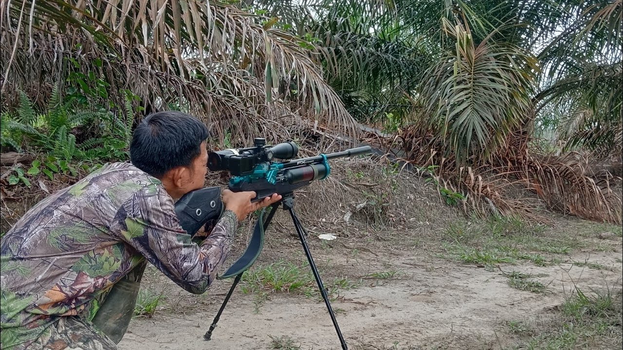Ayam kesiangan .siang baru mau kokok
