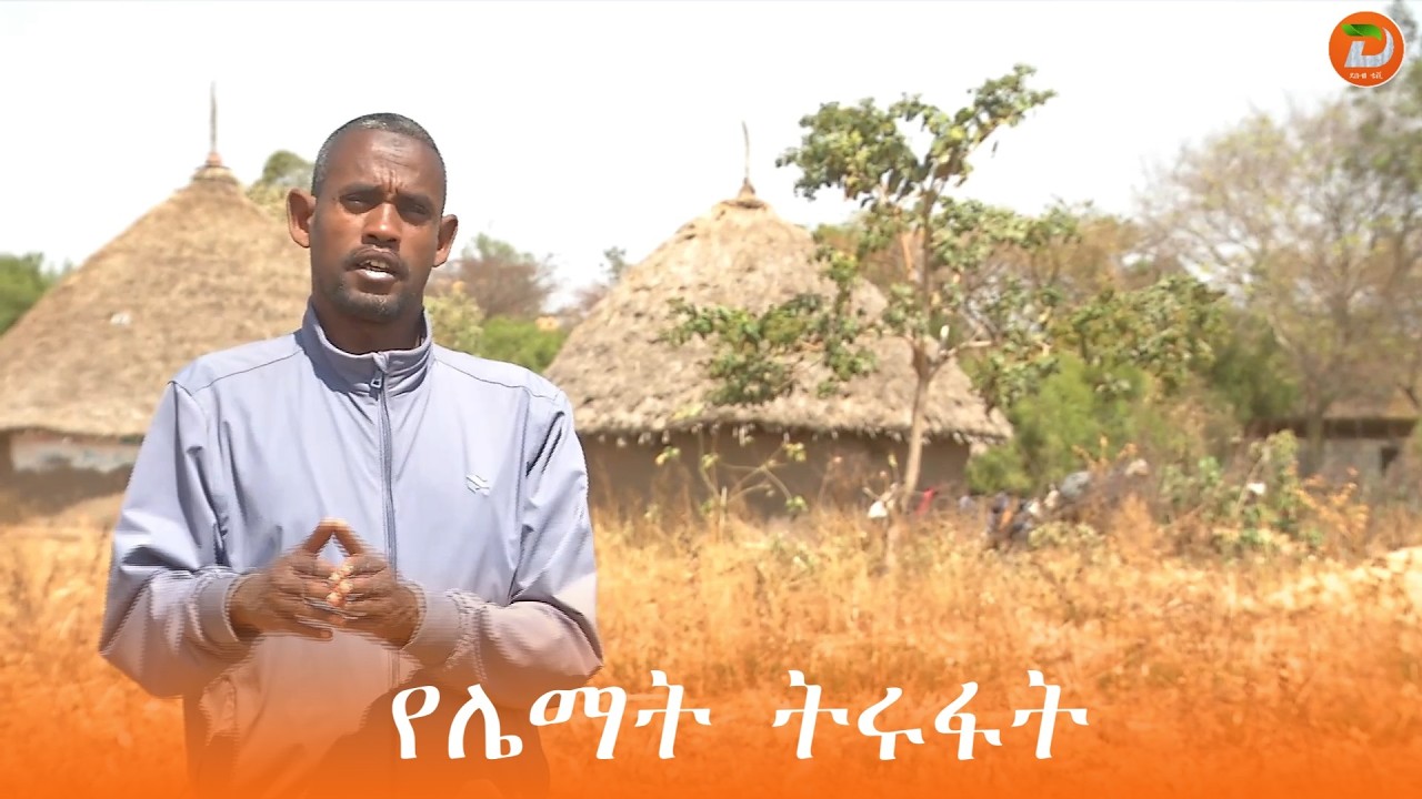 የሌማት ትሩፋት የምግብ ዋስትናን በማረጋገጥ የአመጋገብ ስርዓት እንዲስተካከል ከማድረግ ባለፈ የአርሶ አደሩና የወጣቱን የኢኮኖሚ አቅም እንደሚያሳድግ ተገለፀ