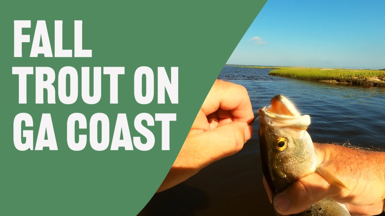 Get Ready for Fall Fishing on Georgia Coast