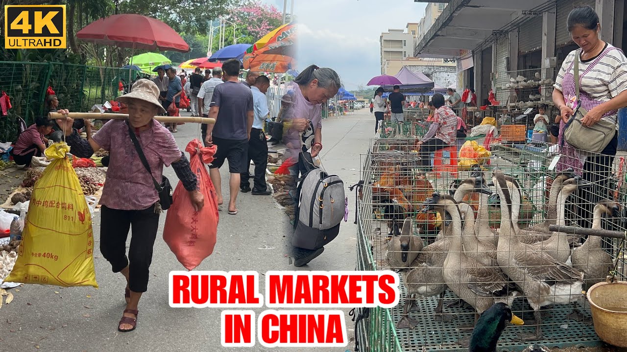 Local Traditional Chinese Markets in Guangdong China | Guangzhou Walk Tour 2025
