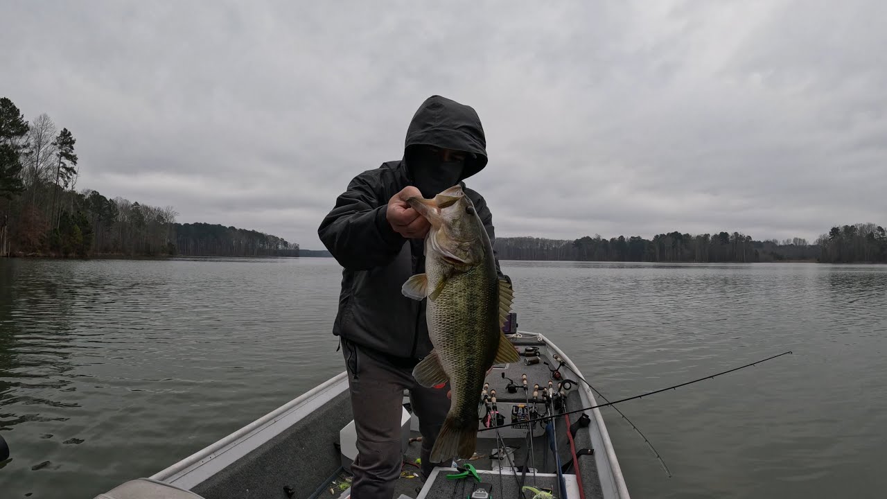 Hard Labor Creek reservoir March 2026