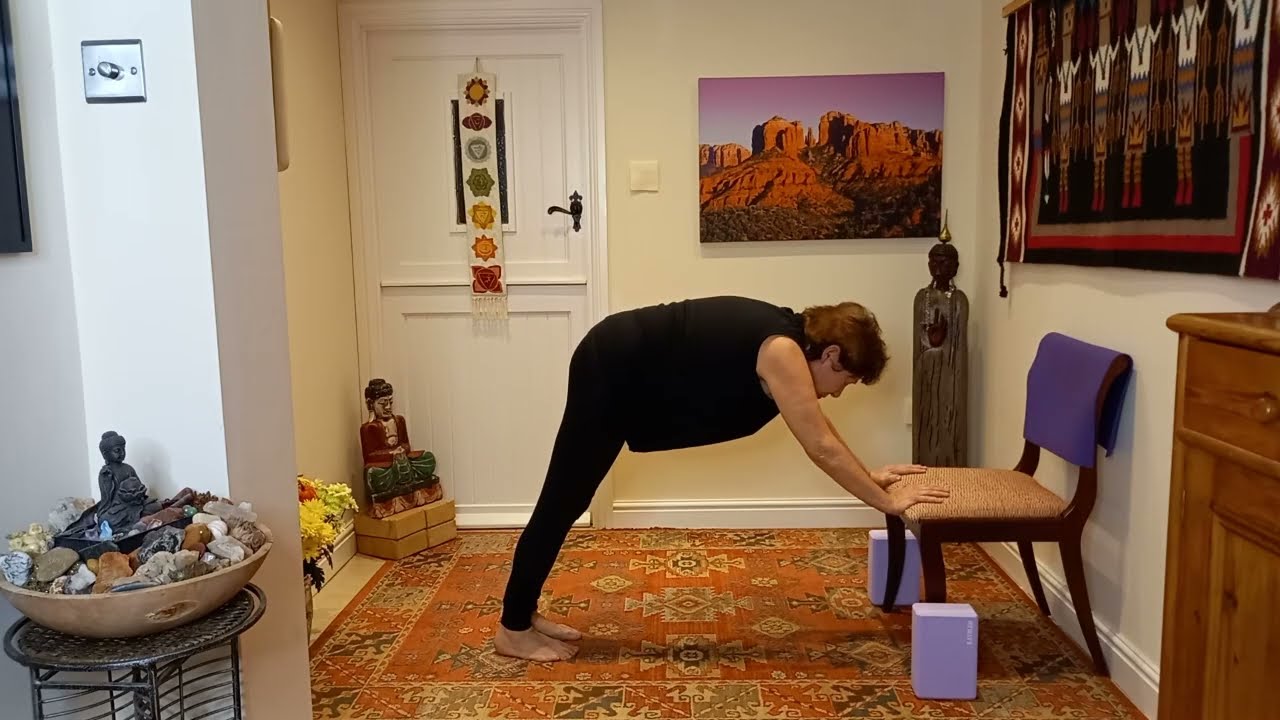 Easy Downward Dog Yoga Pose Part 2  (#9)
