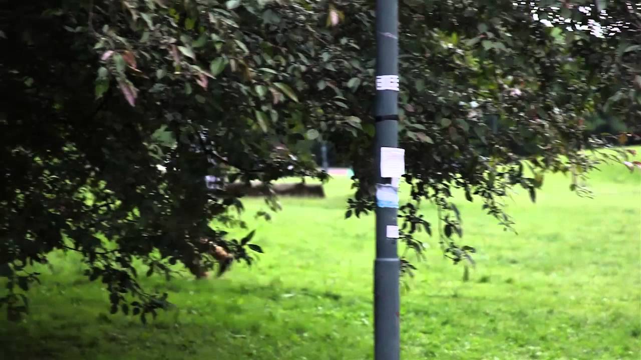Hycel - Gra w terenie