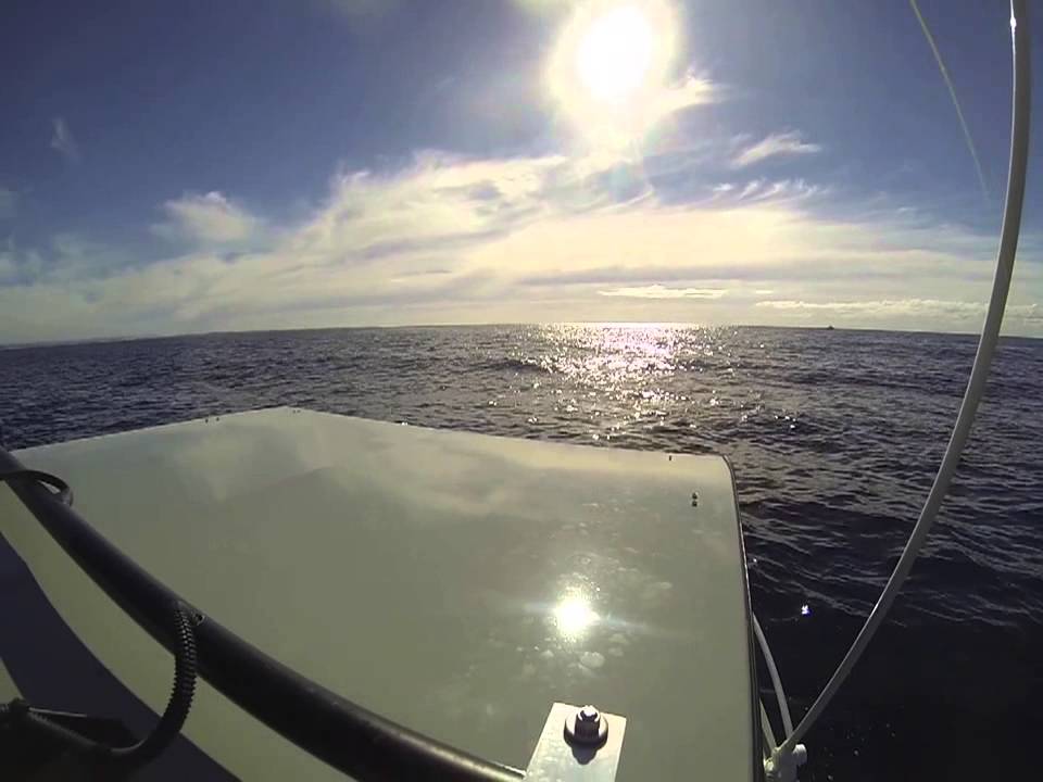marlin hook up captured on gopro