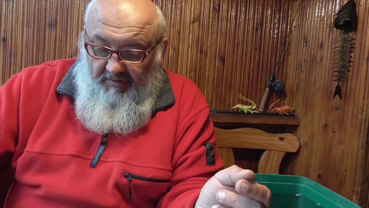 Интересная и хорошая снасть с тирольской палочкой и поплавком на белую и хищную рыбу.