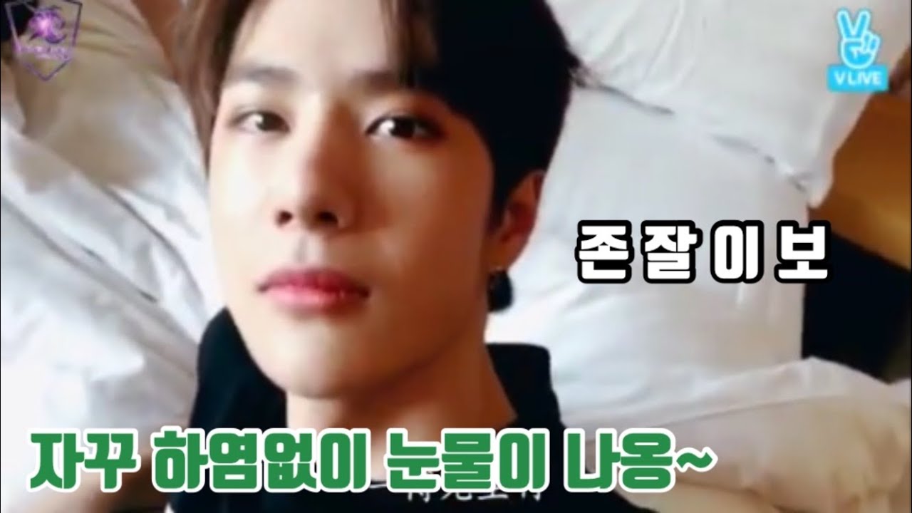 왕이보 유니크 브이앱 (한국어찐천재)