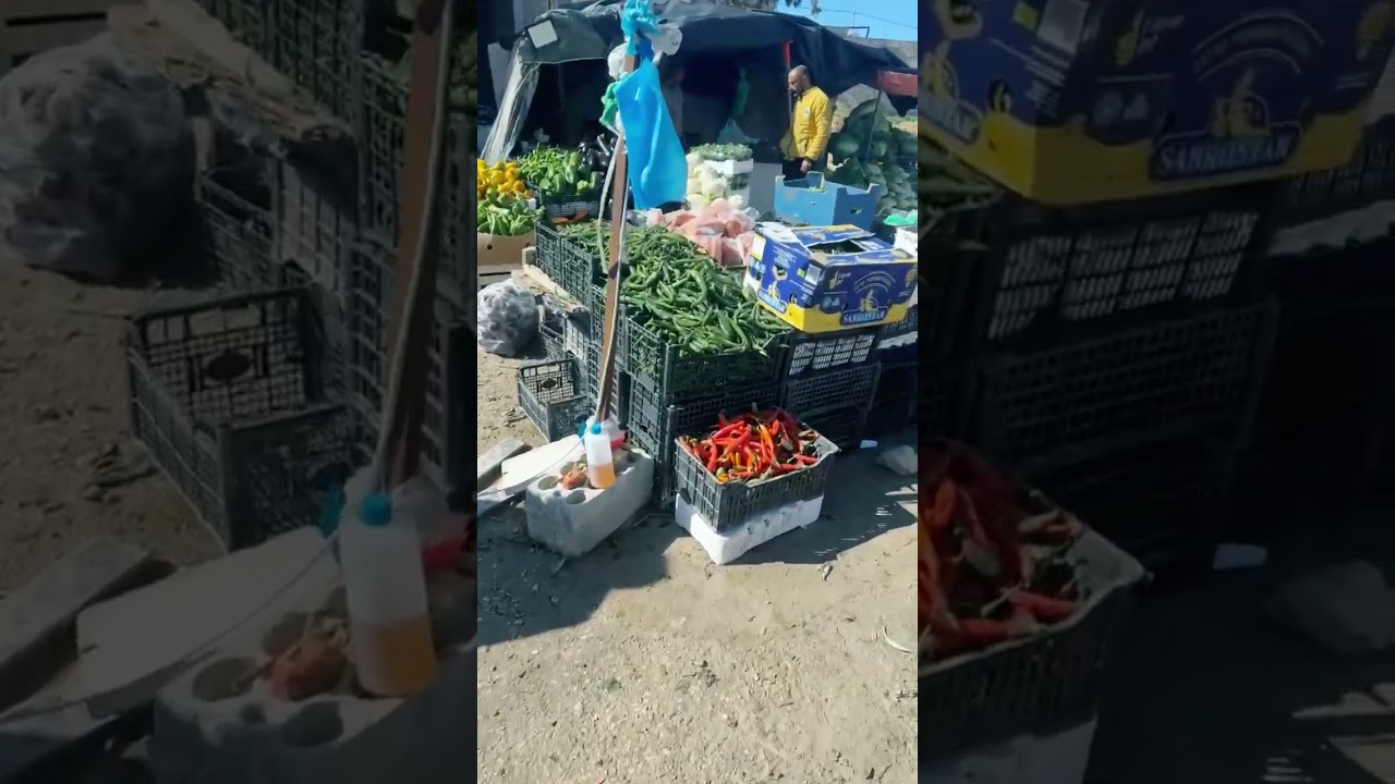 ٧ مارس، ٢٠٢٦