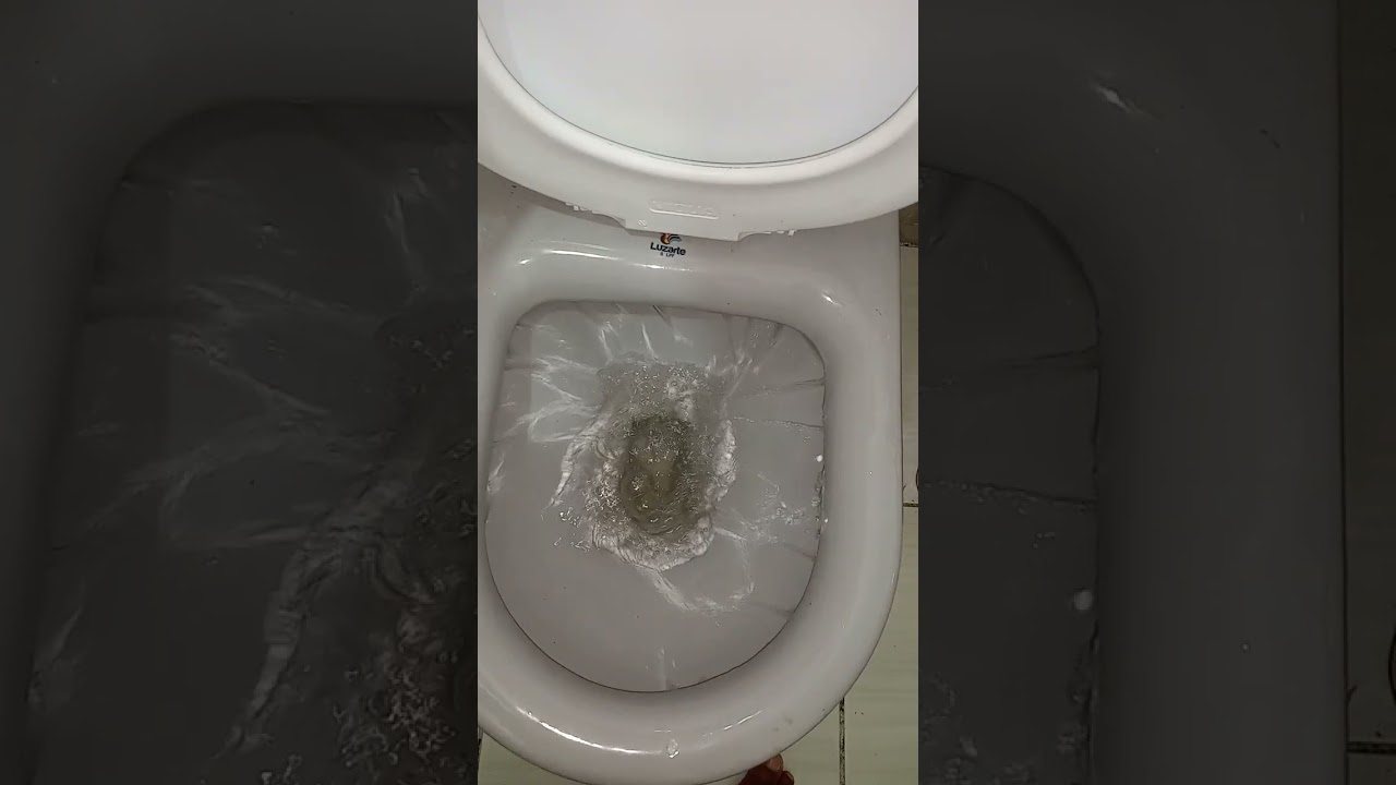 Muita atenção quando for instalar vaso sanitário da Luzart!