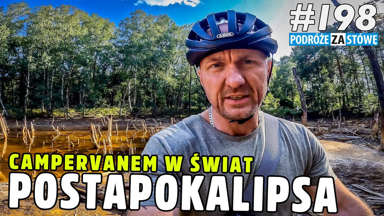 KIKUTY DRZEW wystają z wody - wygląda to nieziemsko