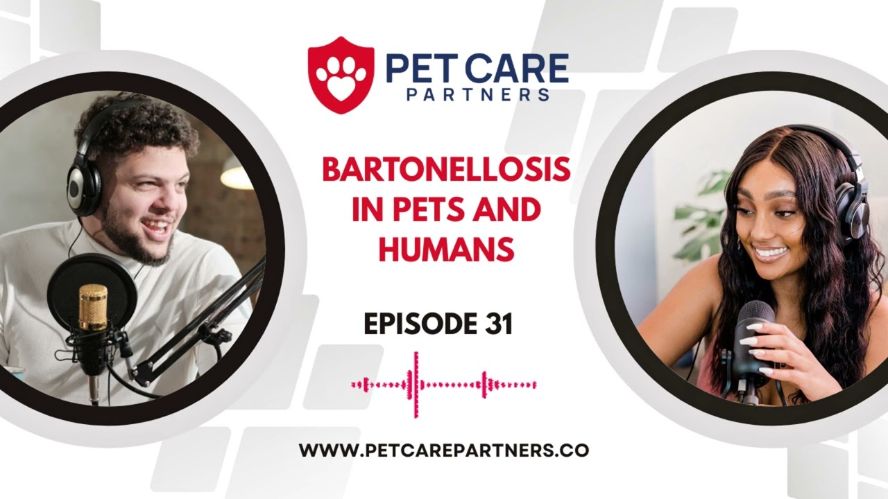 EP 31: Bartonellosis in Pets and Humans: Diagnosis, Transmission, and Treatment | Pet Care Partners