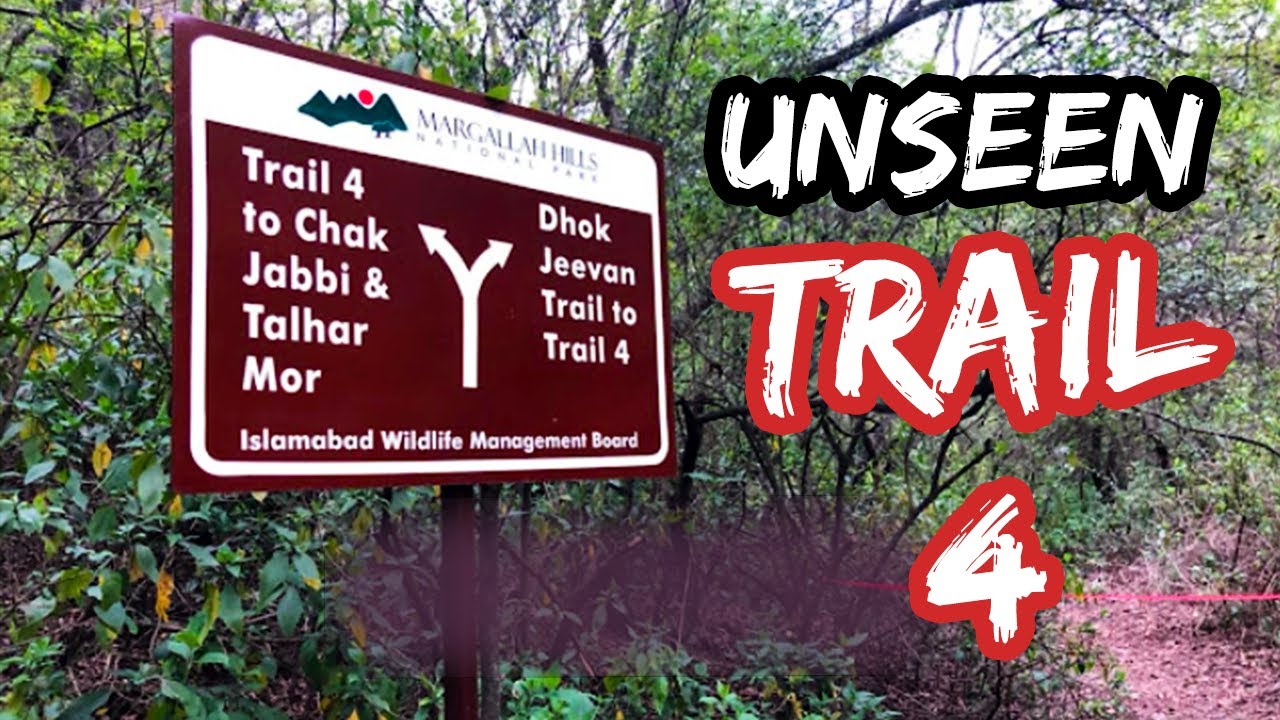Trail 4 Hiking Islamabad | Margalla Hills Full Experience Musafir Vlogs 🌄