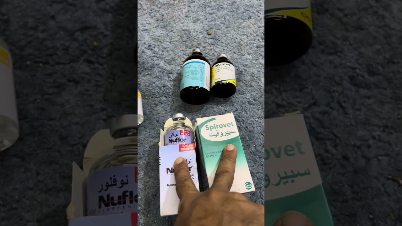 علاج الالتهاب الرئوي الحاد في الضأن خصوصا الدموى وابو رمح