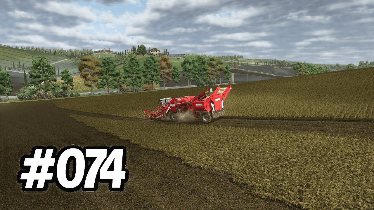 Italienische Kartoffeln 