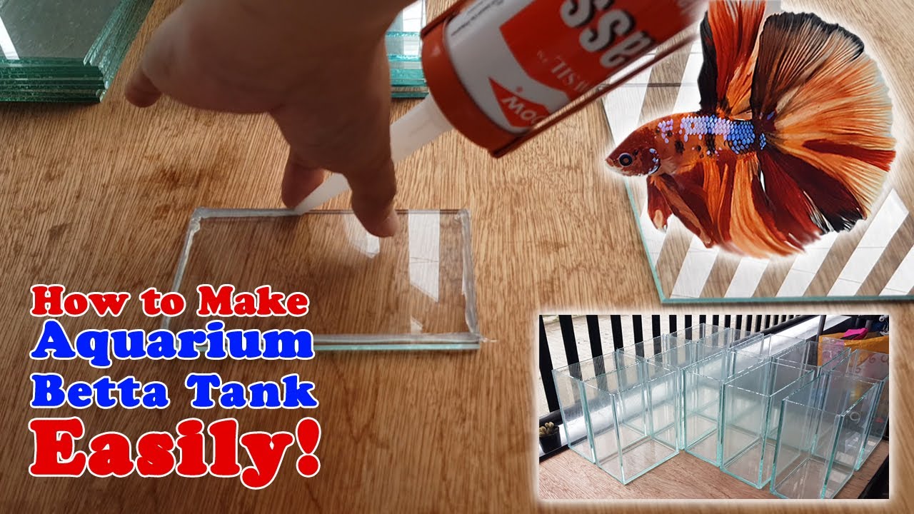 How to Make Aquarium | Betta Tank