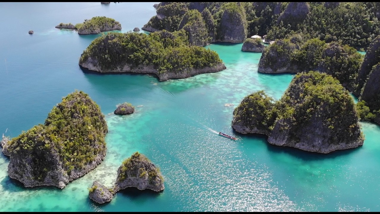 FREEDIVE PRAHA: Raja Ampat (listopad 2024)