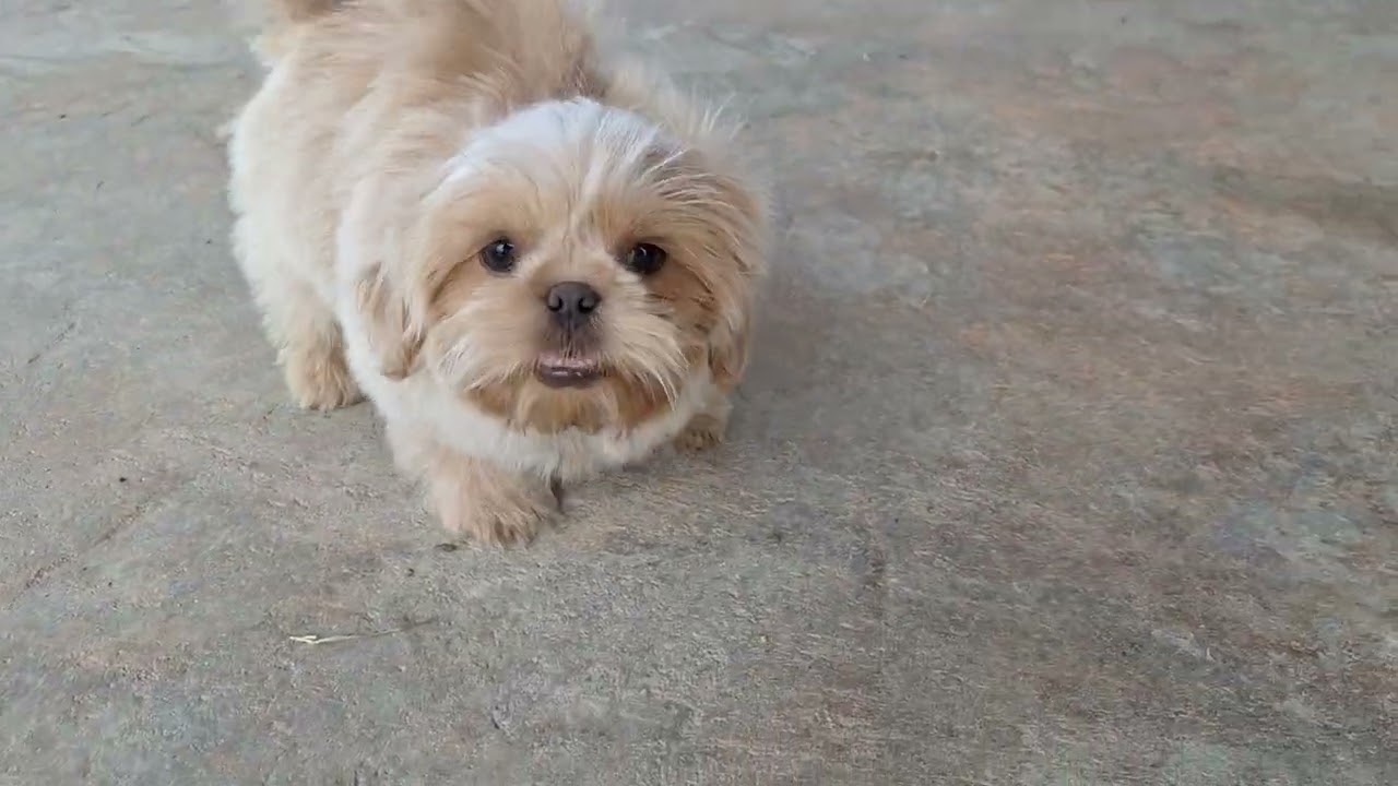 Charlie 8-19-24