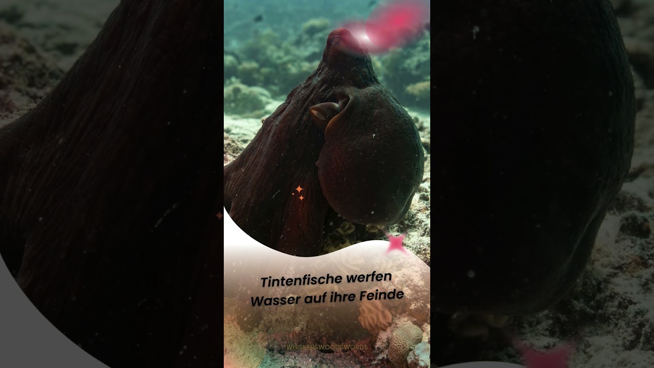 Faszinierende Tierische Fakten 🐾 | Kurze und Spannende Tierinfos f&uuml;r Tierliebhaber