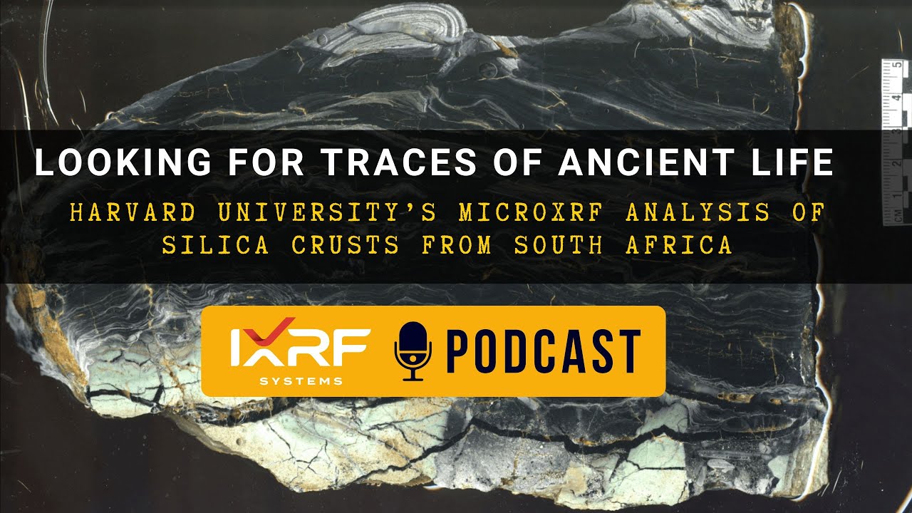 Looking for Traces of Ancient Life: Harvard University&rsquo;s MicroXRF Analysis of Silica Crusts