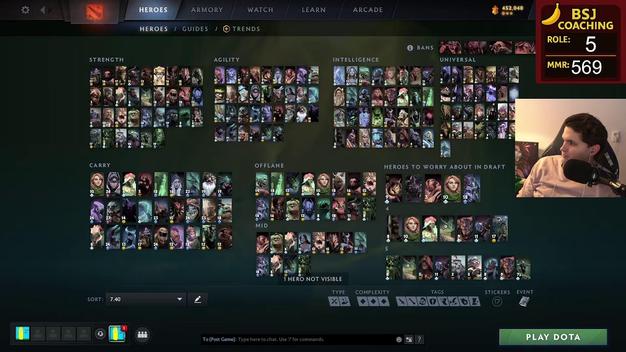 Dota Coaching Session