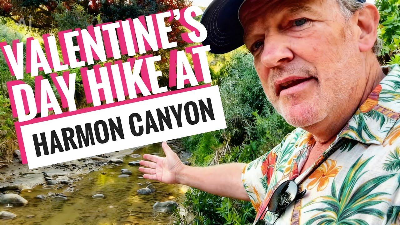 Vlog 50:
