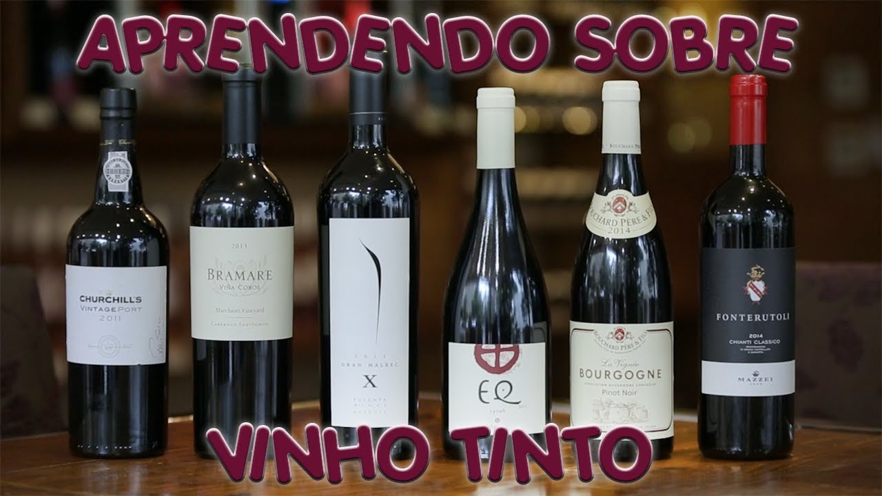 APRENDENDO SOBRE VINHO TINTO | Divino Vinho