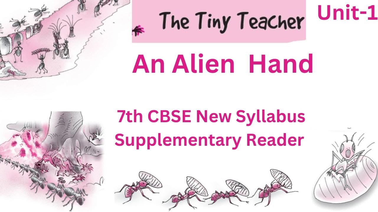 👌💐💯7th English CBSE New Syllabus 