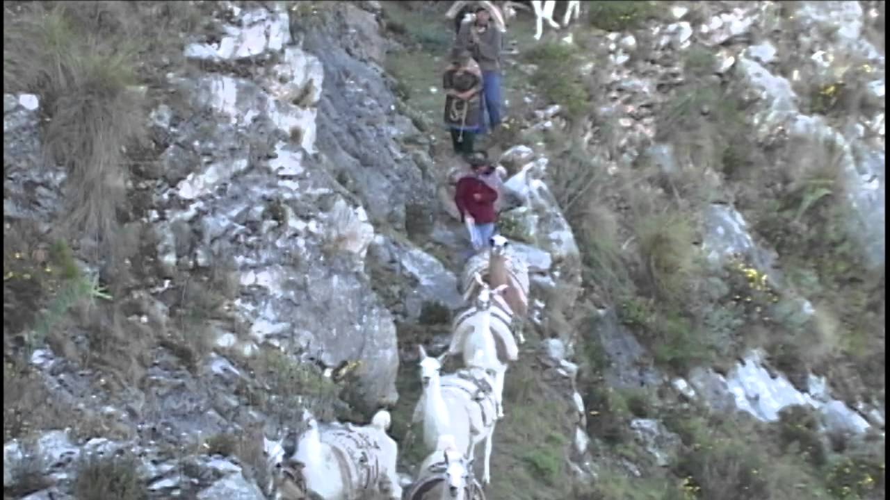 Los Arrieros del Pariacaca, parte 02