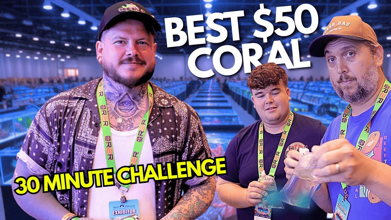 Finding BEST CORAL For $50 In 30 Minutes at Reefapalooza Challenge!