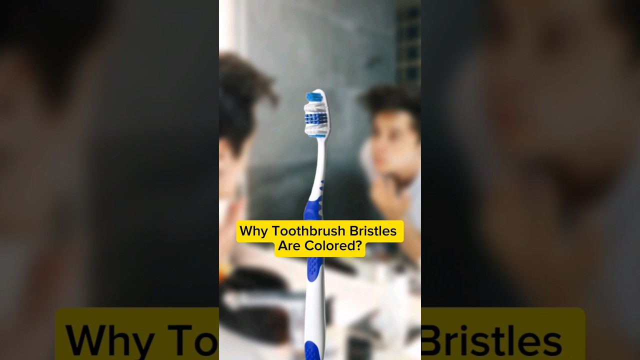 Why Do Toothbrushes Have Colored Bristles?