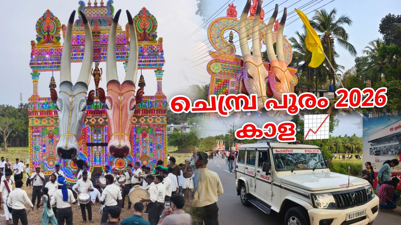 ഇങ്ങനെ ഒരു കാളപൂരം കണ്ടിട്ടുണ്ടോ ? 😳🔥 Chembra Pooram 2026 #chembra_pooram_2026 #chembra kaala pooram