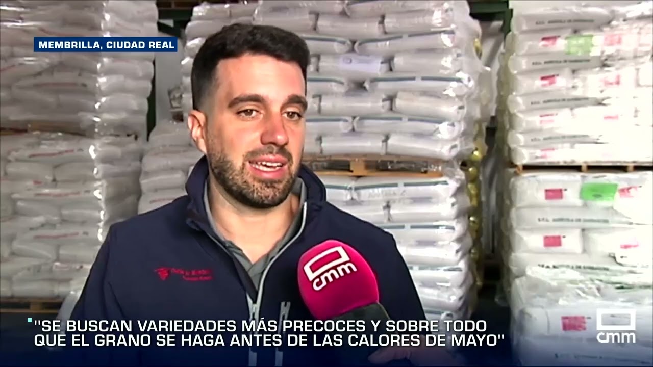 Cada vez más agricultores apuestan por semillas de siembra tardía #semillacertificada