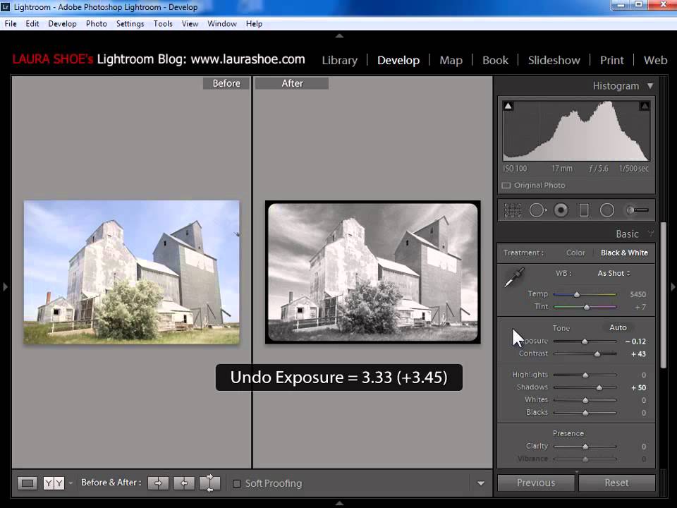 Working with History and Before & After in Lightroom