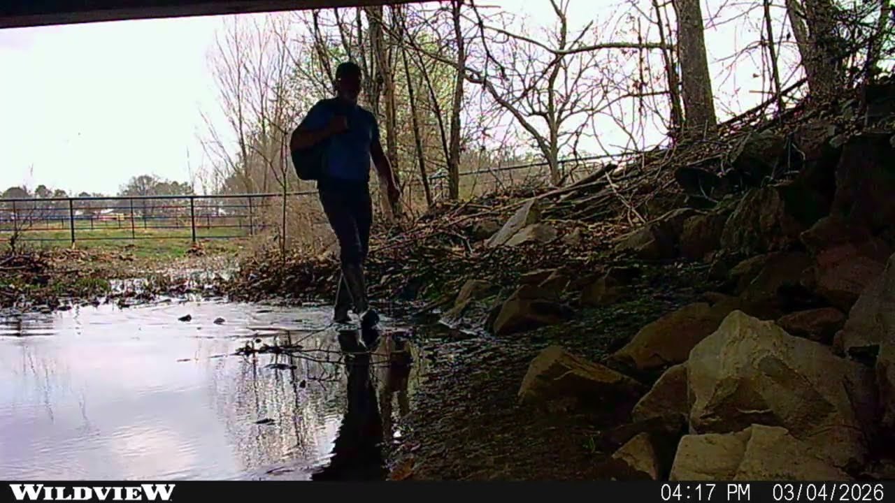 Unexpected Urban Neighbors: A Bridge Full of Wildlife