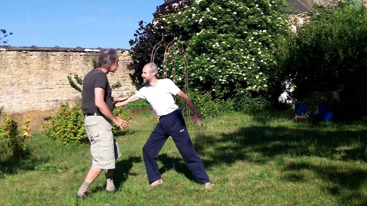 Applications Yang 1 Taijiquan - Eric Caulier