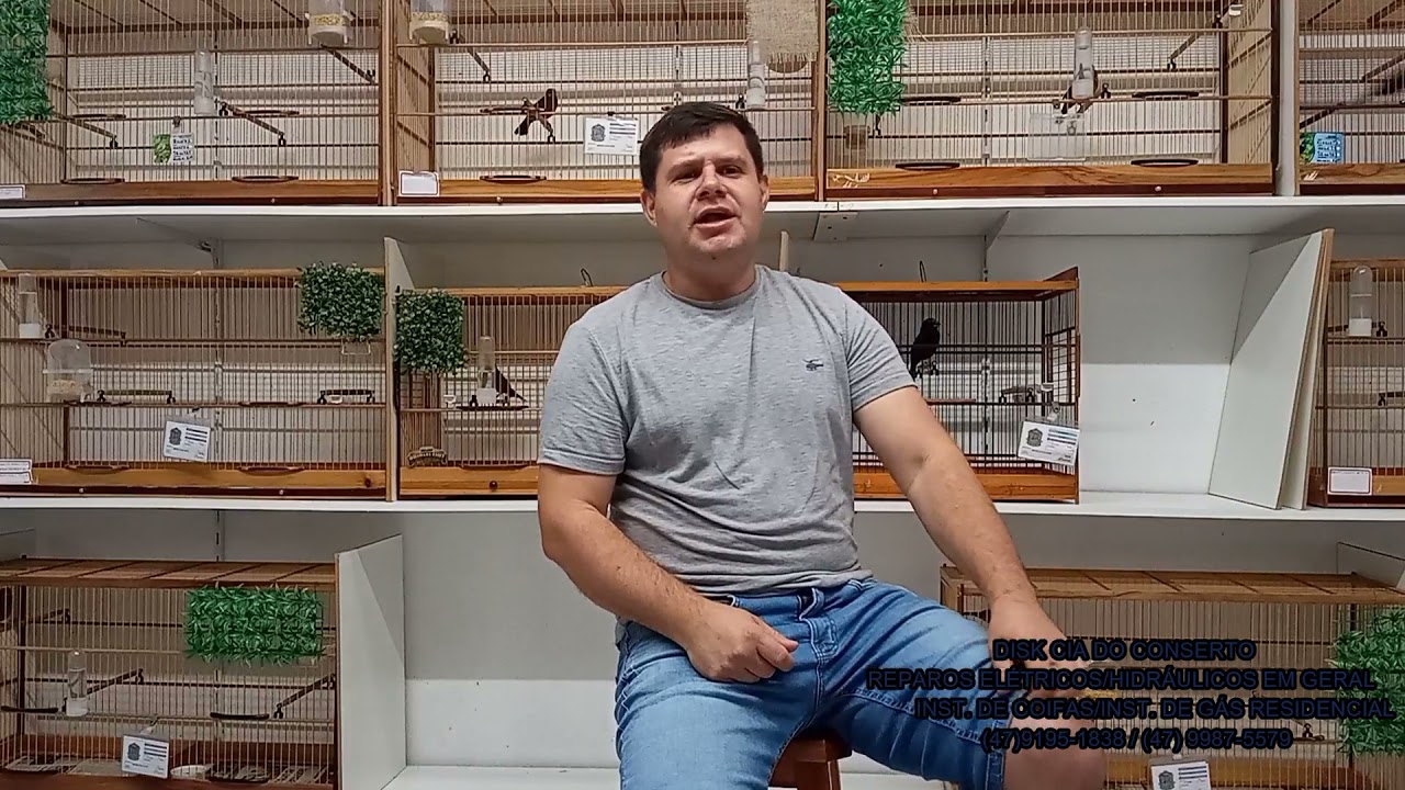 Visita ao criatório de azulão Revelação Sul