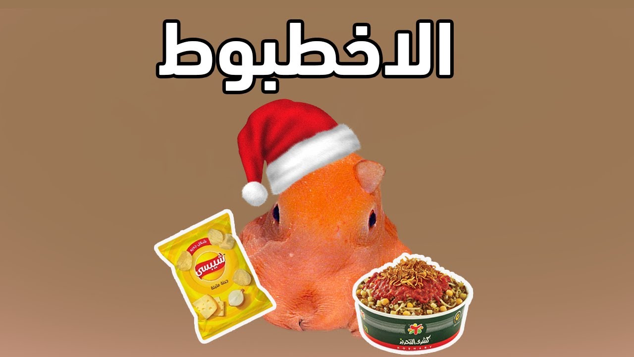 ليه الأخطبوط منعزل وبيعيش لوحده؟ (أغرب عقل في البحر)