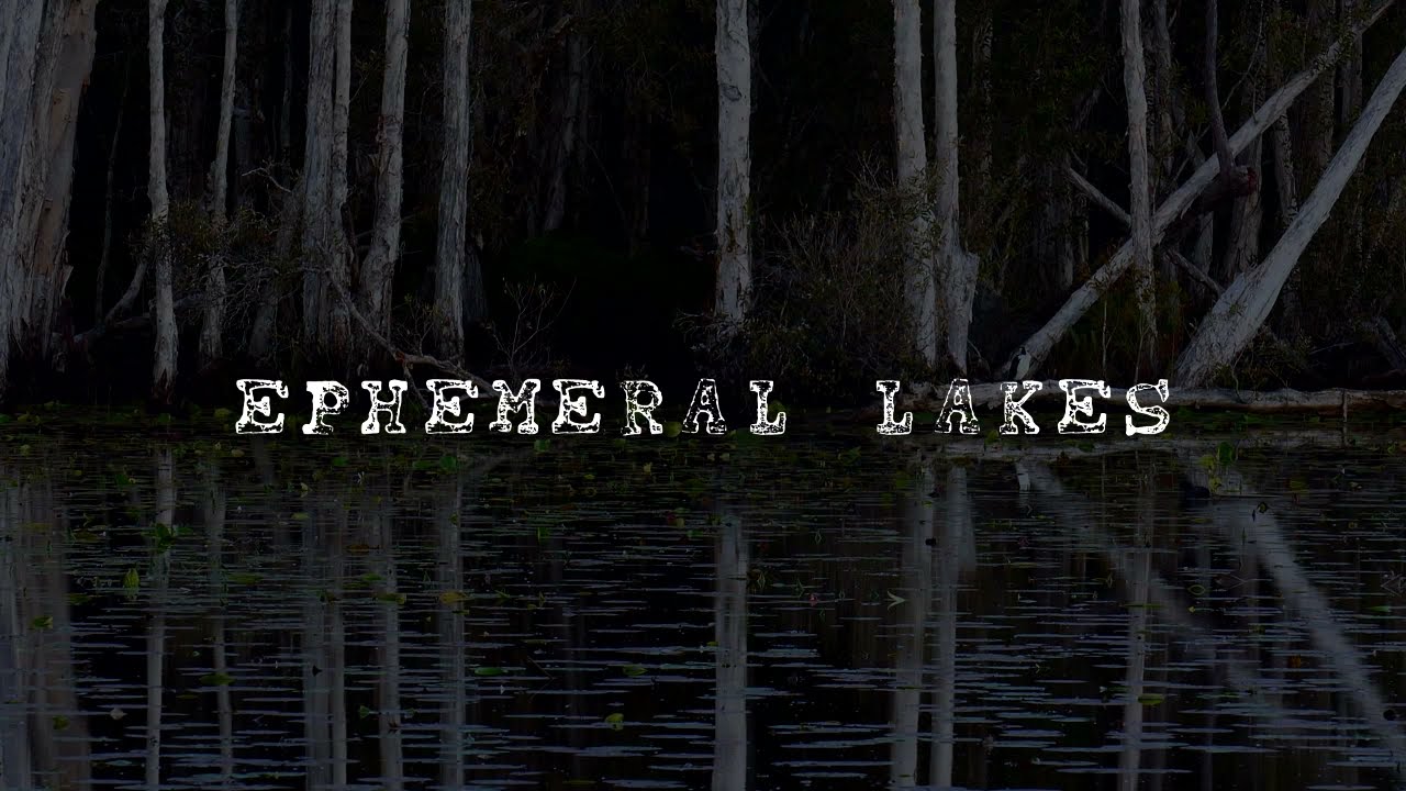 Ephemeral Lakes, Yurruun.ga wetlands