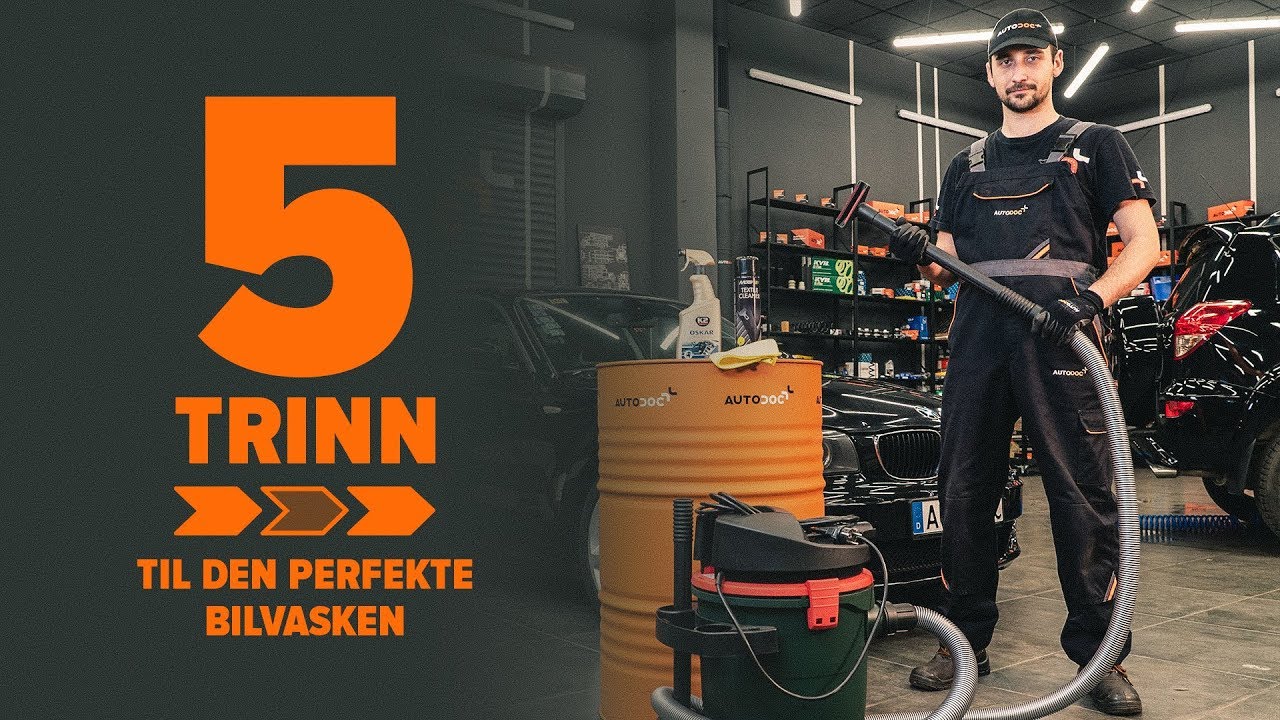 Slik rengj&oslash;r du veldig skittent bilinteri&oslash;r | AUTODOC
