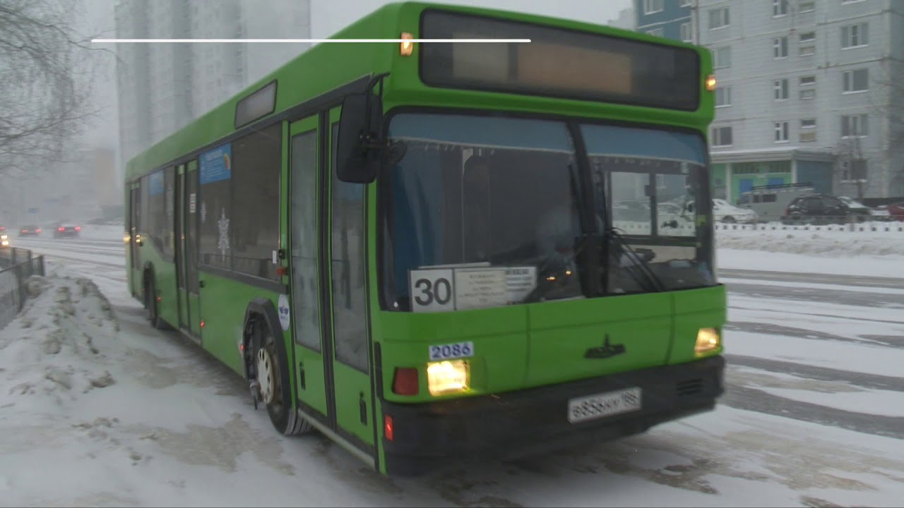 Мифы и реальность: ледяные автобусы Нижневартовска