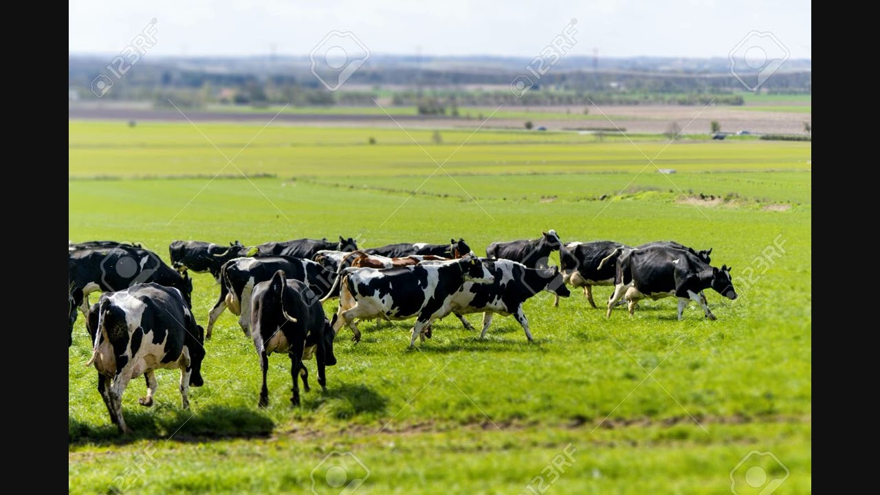 Crece la remisión y expertos marcan la hoja de ruta para el cierre del verano